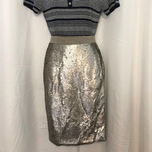 Banana Republic Sequin Skirt Sz. 0p